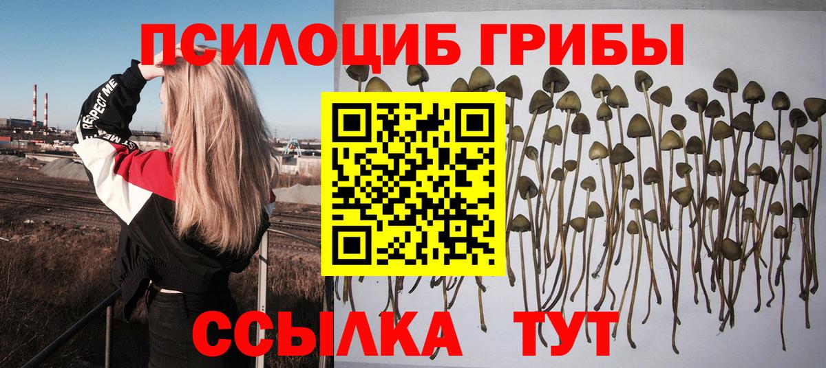 Галлюциногенные грибы Psilocybe  Вход с VPN  Псилоцибиновые грибы MAGIC MUSHROOMS  Советск 
