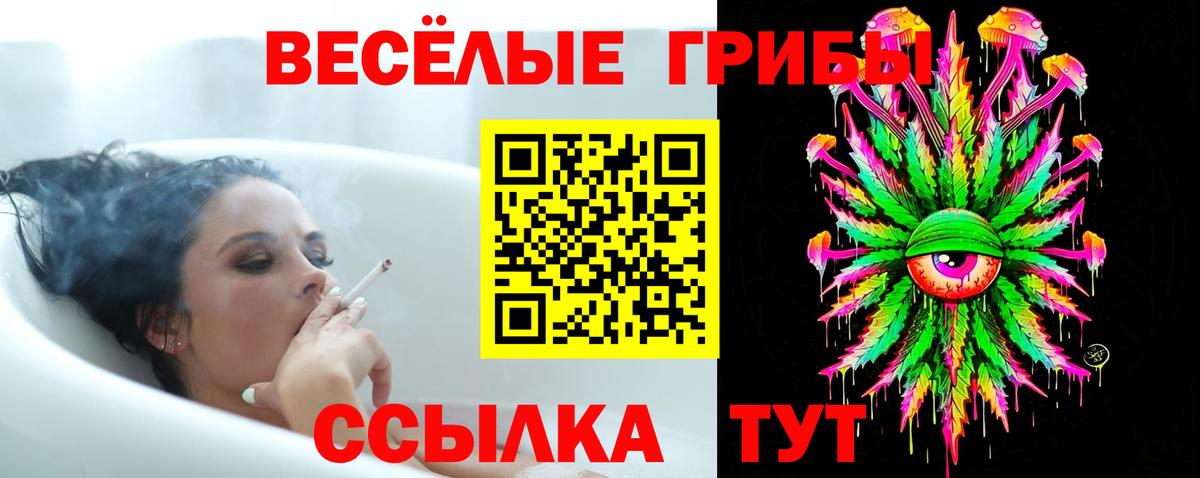 Псилоцибиновые грибы мицелий Советск